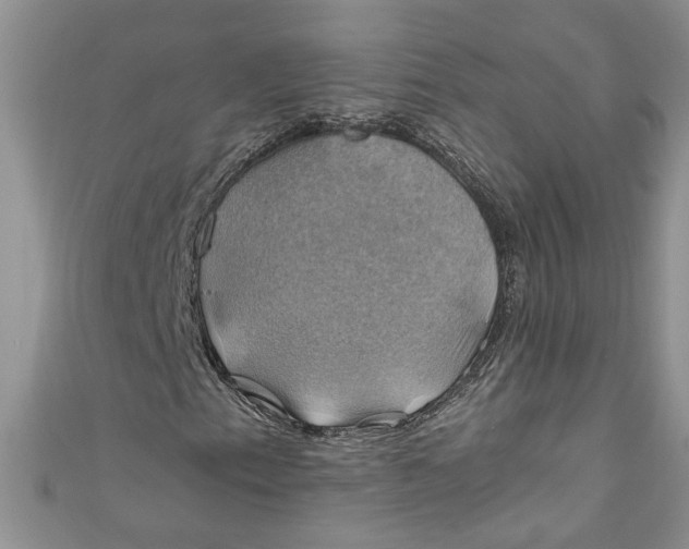X0000111031153200907161319