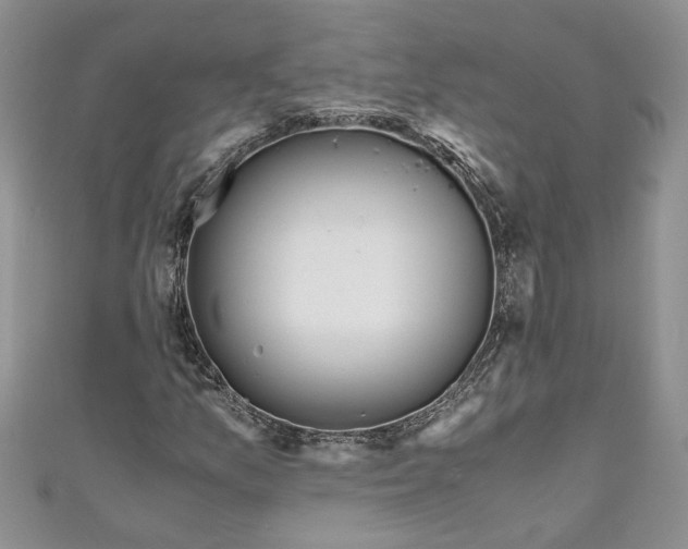 X0000111031157200907161319