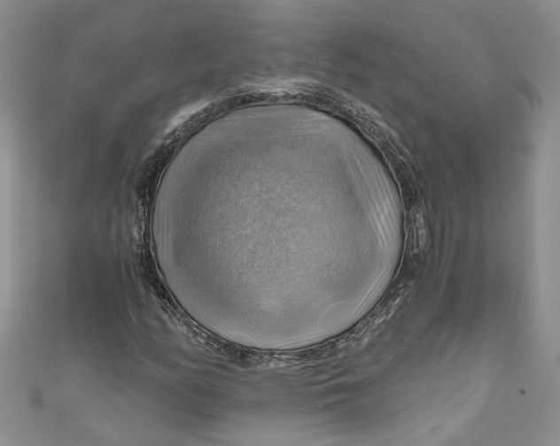 X0000111031158200907161319