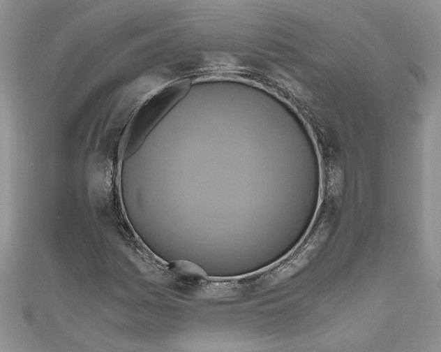X0000111031161200907161319
