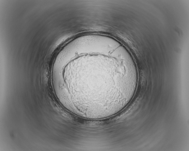 X0000111031163200907161319