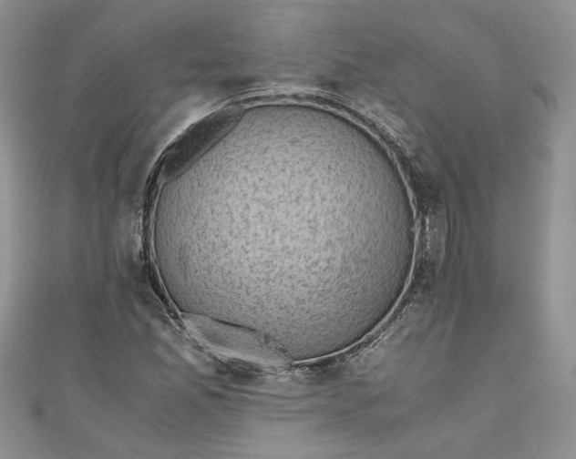 X0000111031165200907161319