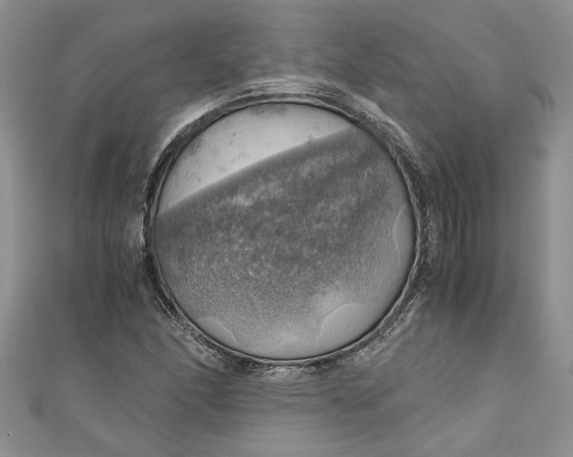 X0000111031166200907161319