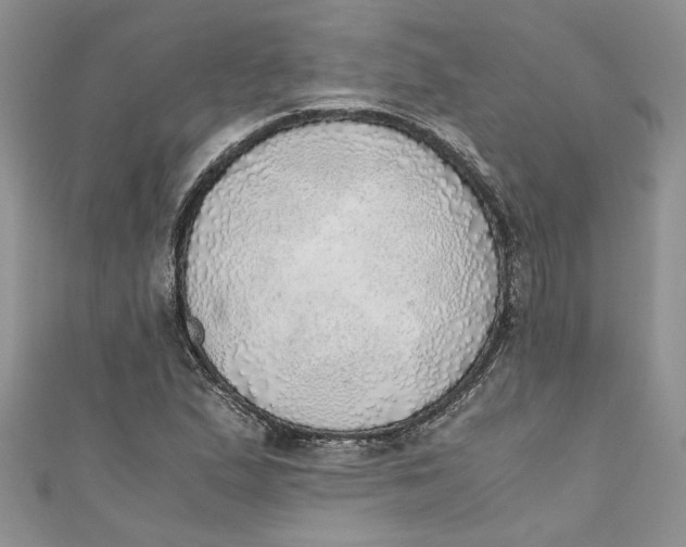 X0000111031167200907161319