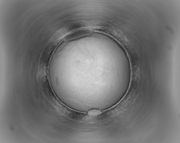 X0000111031169200907161319