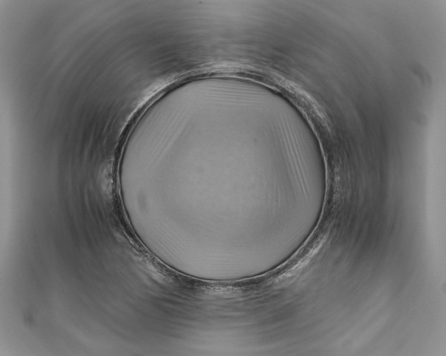 X0000111031170200907161319