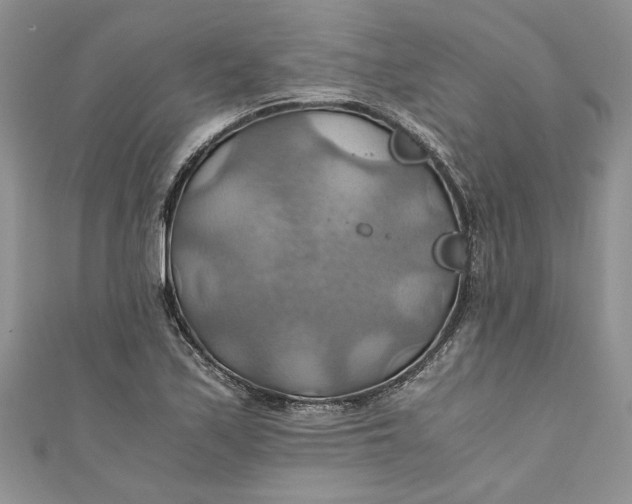 X0000111031171200907161319