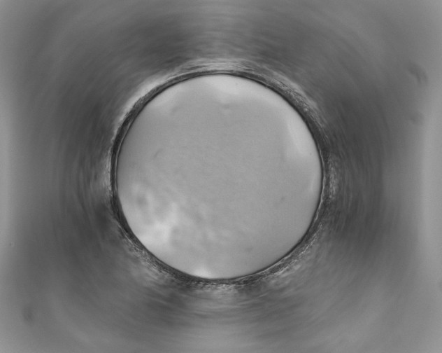 X0000111031174200907161319