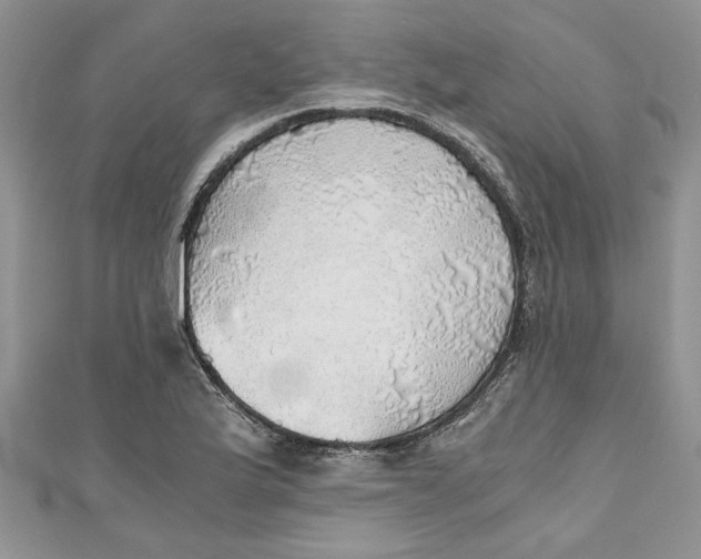 X0000111031175200907161319