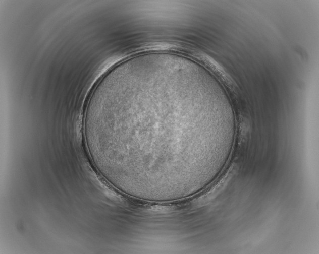 X0000111031178200907161319