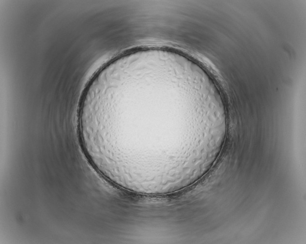 X0000111031183200907161319