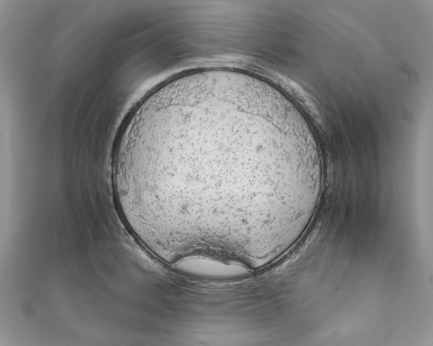 X0000111031184200907161319
