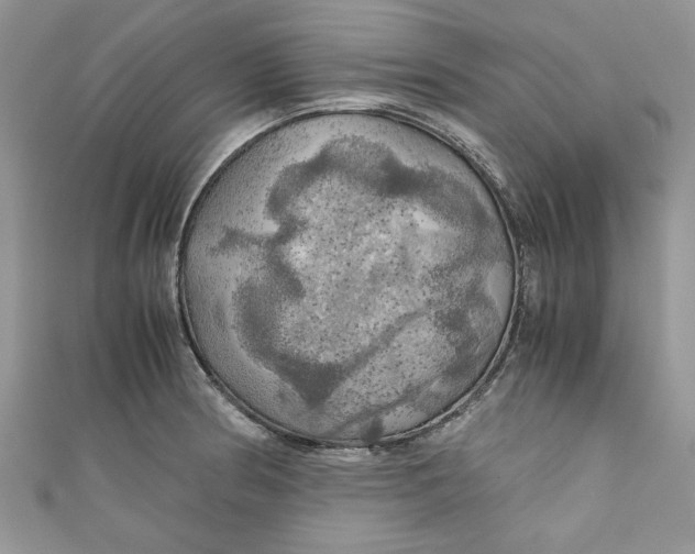 X0000111031186200907161319
