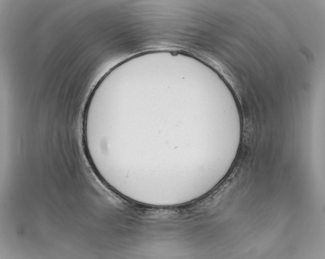 X0000111031187200907161319