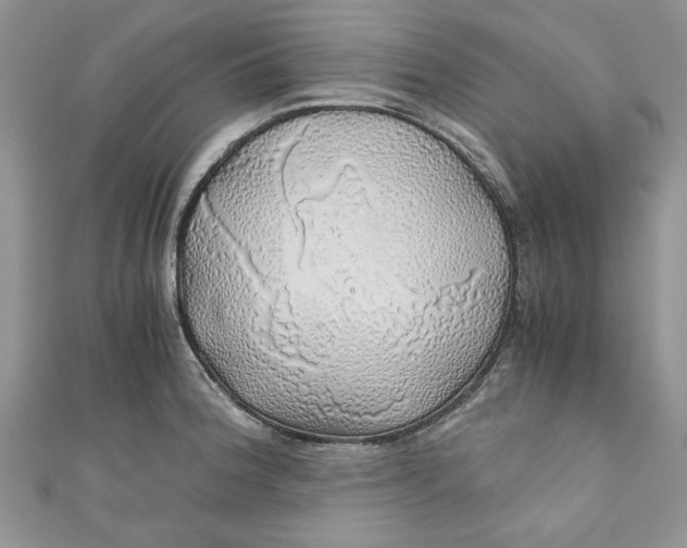 X0000111031188200907161319
