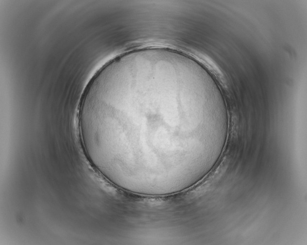 X0000111031190200907161319