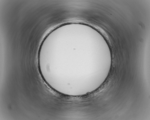 X0000111031191200907161319
