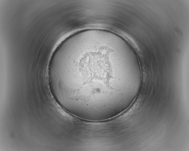 X0000111031192200907161318