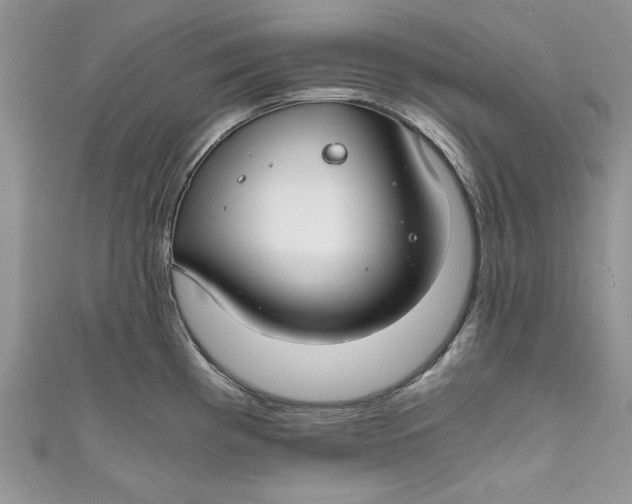 X0000111031193200907161318