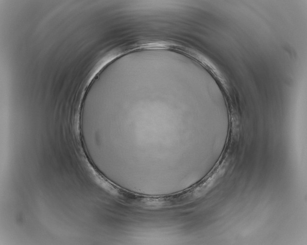 X0000111031194200907161318