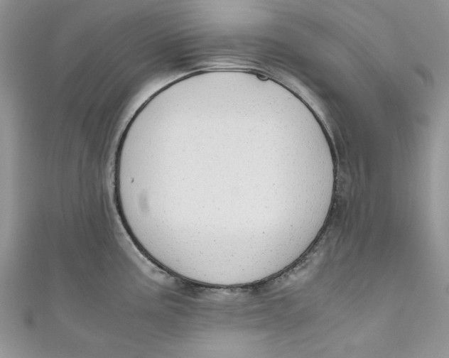 X0000111031195200907161318