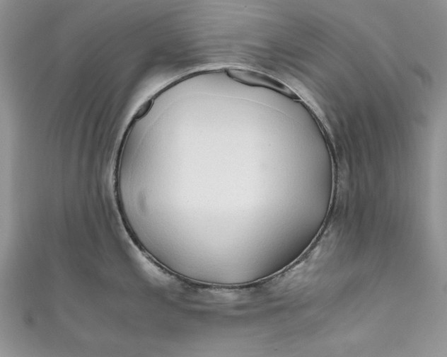 X0000111031197200907161318
