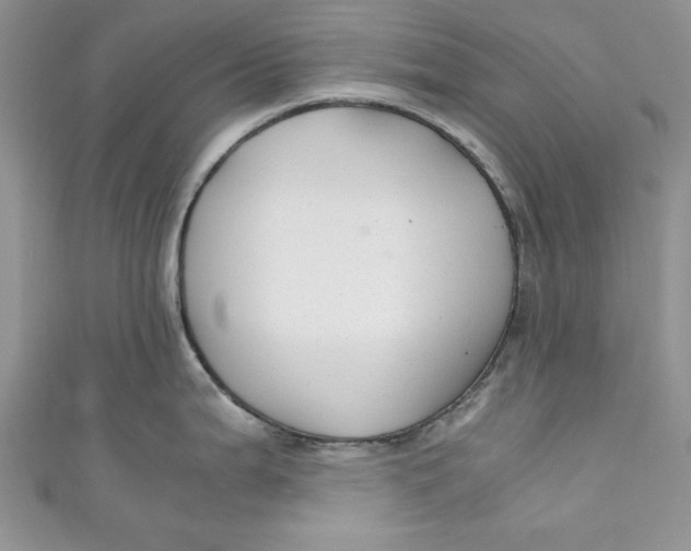 X0000111031199200907161318