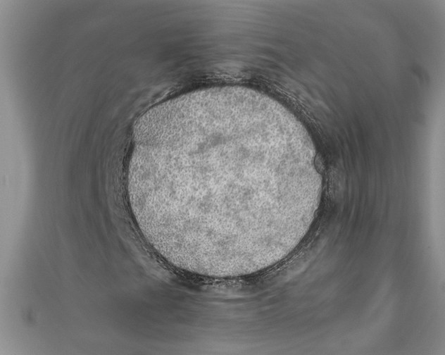 X0000111031201200907161318