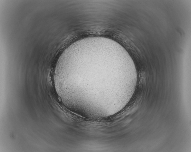 X0000111031202200907161318