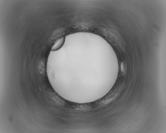 X0000111031203200907161318