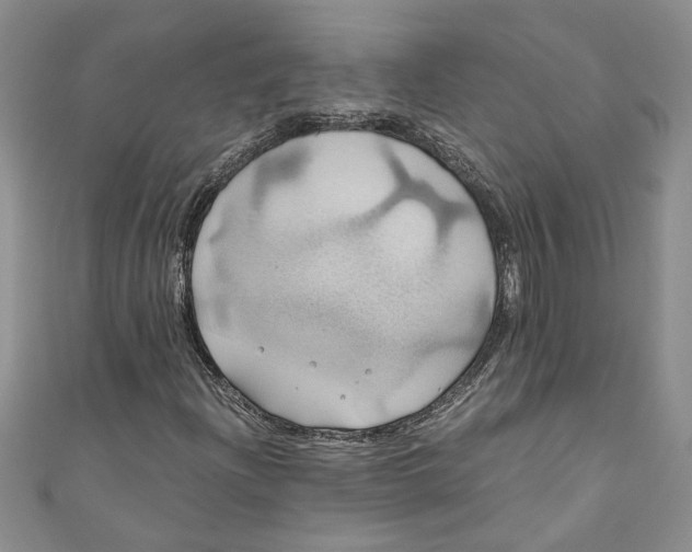 X0000111031204200907161318