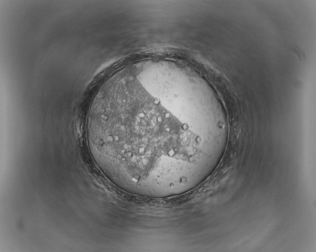 X0000111031206200907161318