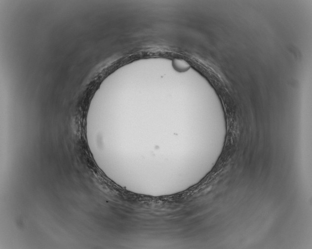 X0000111031207200907161318
