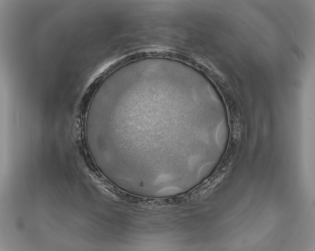 X0000111031208200907161318