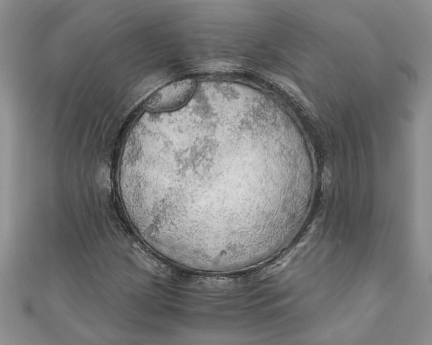 X0000111031209200907161318