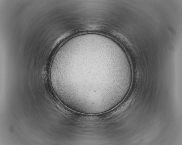 X0000111031210200907161318