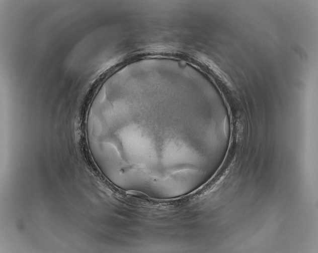 X0000111031213200907161318