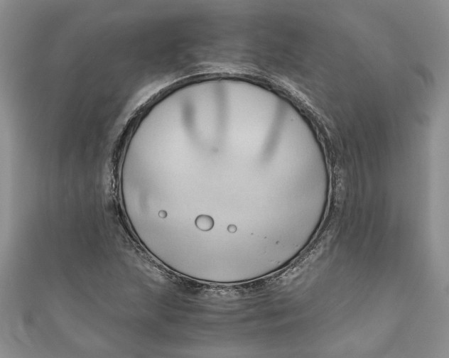 X0000111031215200907161318