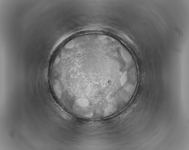 X0000111031216200907161318