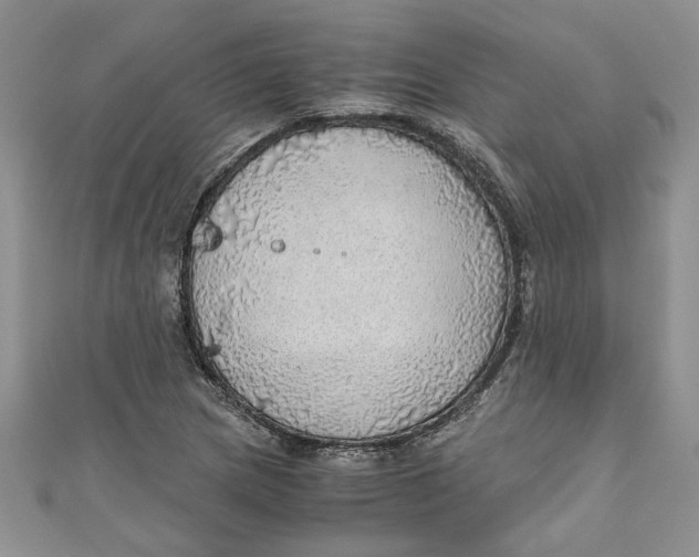 X0000111031217200907161318