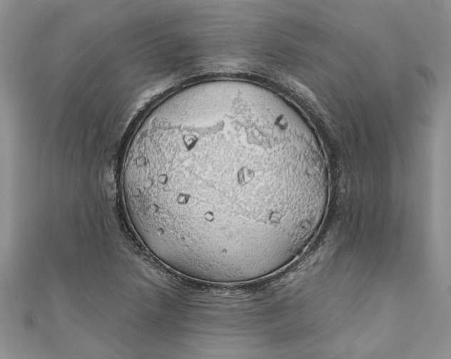 X0000111031218200907161318