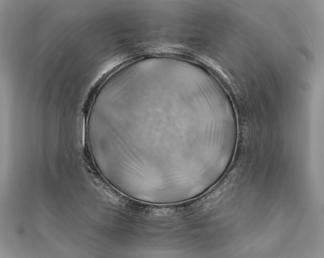 X0000111031219200907161318