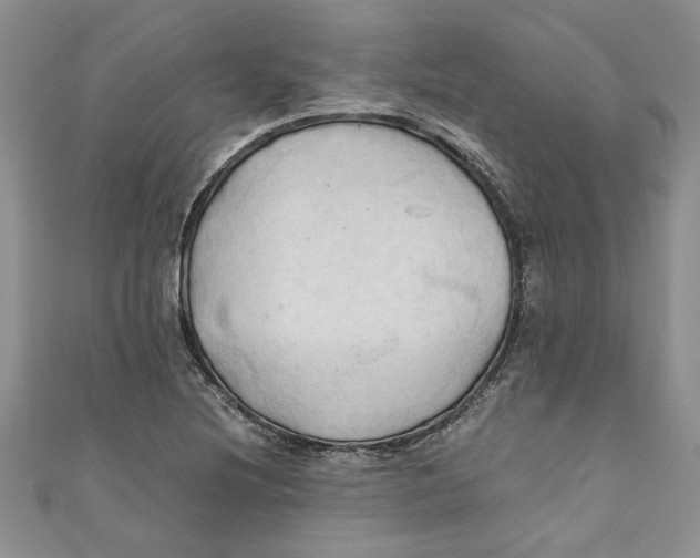 X0000111031220200907161318