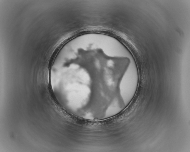 X0000111031221200907161318