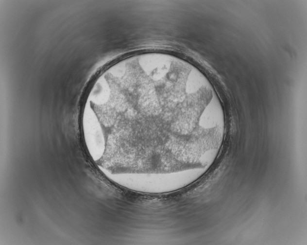 X0000111031222200907161318