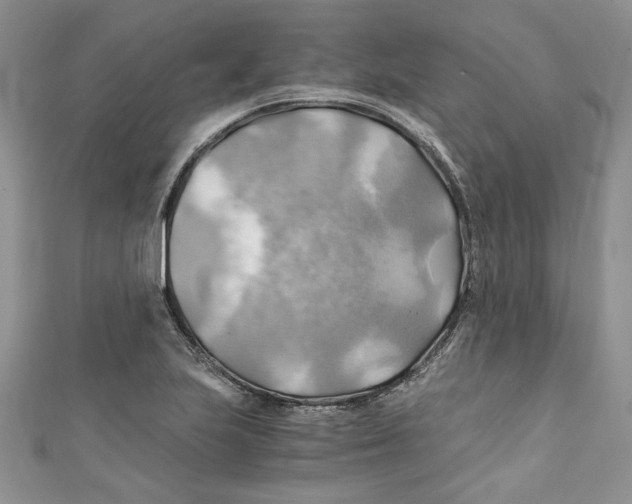 X0000111031223200907161318