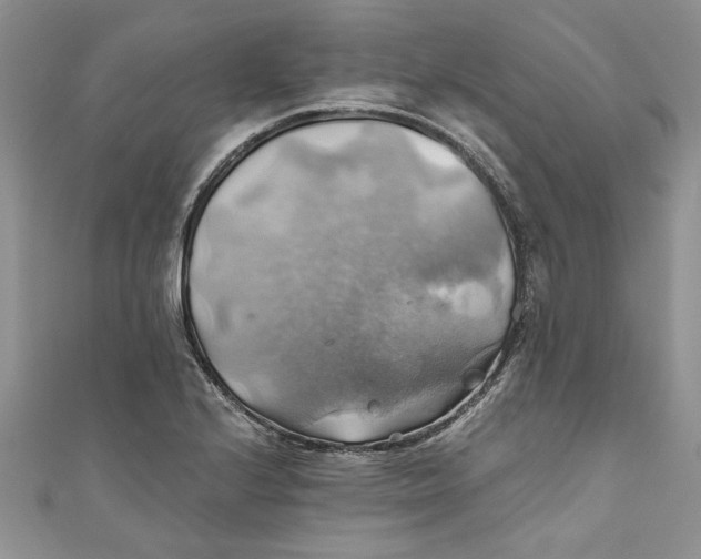 X0000111031224200907161318
