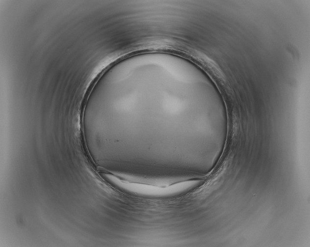X0000111031226200907161318