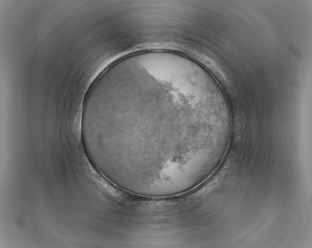 X0000111031228200907161318