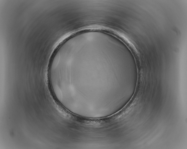 X0000111031229200907161318